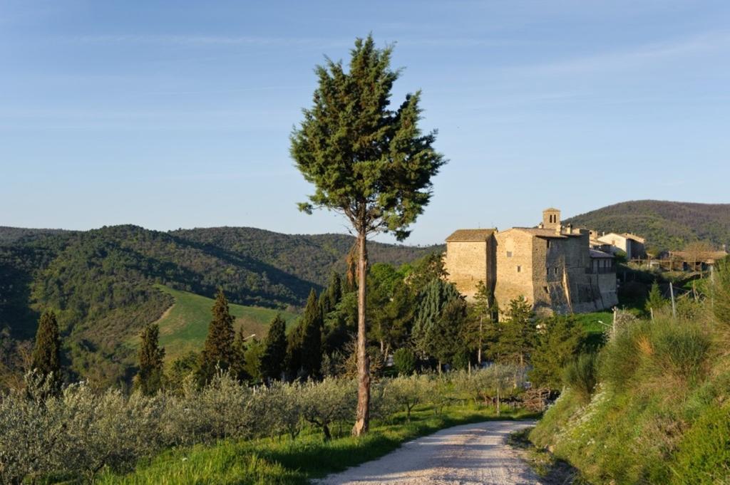 Umbria Nel Cuore Cannara Ngoại thất bức ảnh